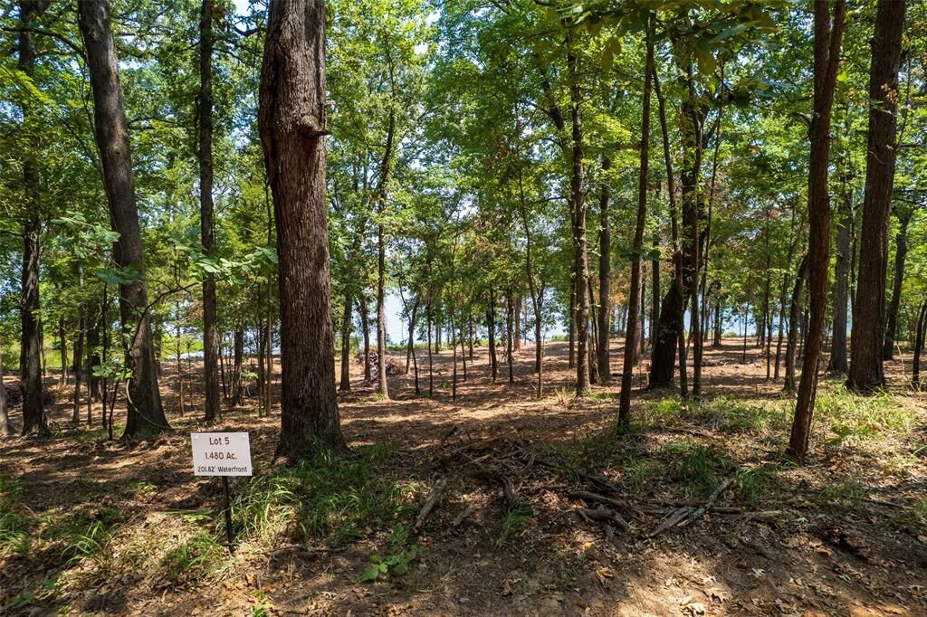 Property Photo: Tbd Private Road 52447 TX 75451