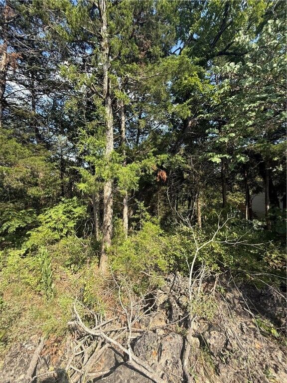 Property Photo:  74 Twin Peak Drive  AR 72631 