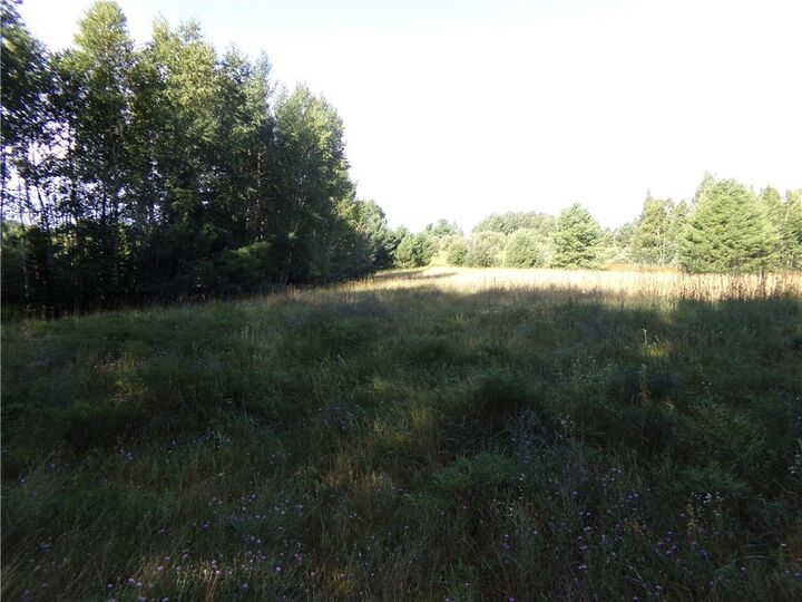 7581 S Marsik Lot 4 Road  Lake Nebagamon WI 54849 photo