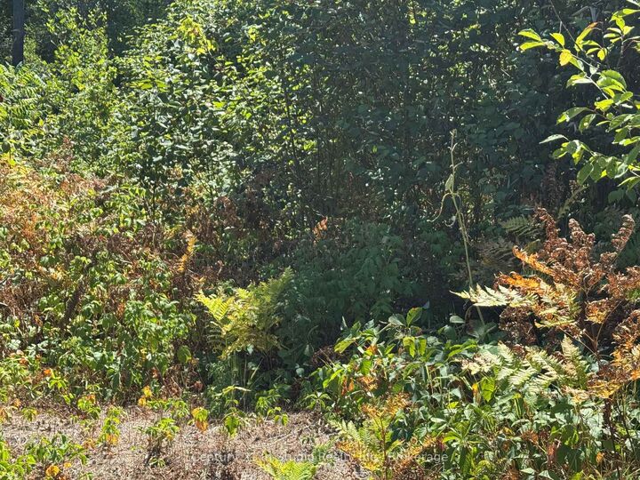 Photo de la propriété:  931 River Road E  ON L9Z 2P4 