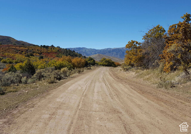 Property Photo: 54 N Mount Baldy Loop W 54 UT 84629