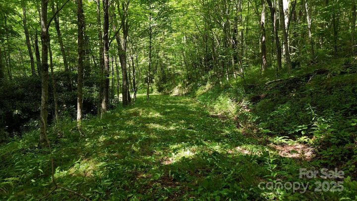 Property Photo:  2283 Pless Underwood Road  NC 28751 