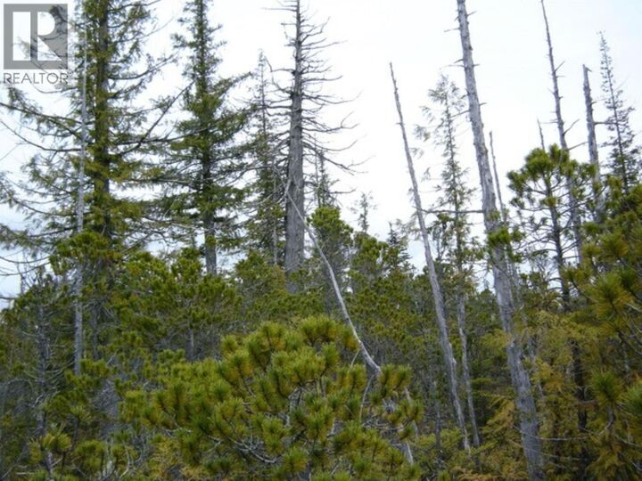 Property Photo:  Lot 2 Highway 16  BC V0T 1R0 