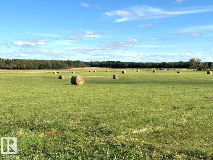 542A Rrd 92  Rural Yellowhead AB T0E 2M0 photo