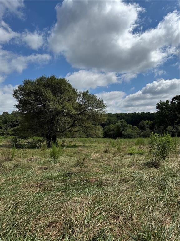 Property Photo:  0 Marlow Road  GA 30558 
