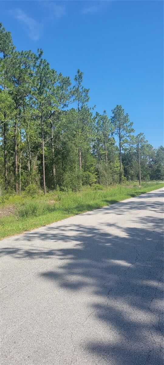 Property Photo: 0 NW Redwood Road FL 34431
