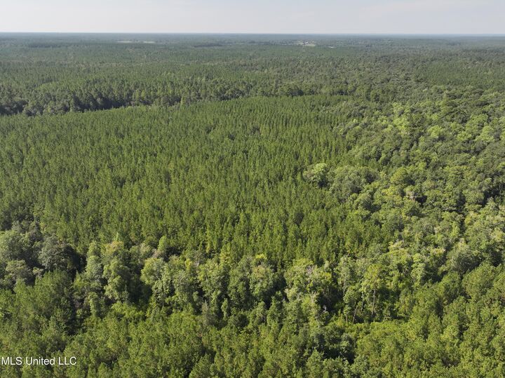 Property Photo: 0 Buddy Finch Road MS 39452