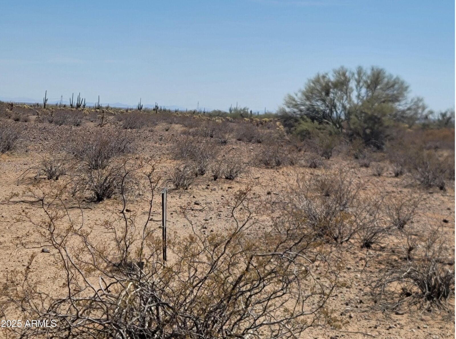 Property Photo:  43 W Restin Road 43  AZ 00000 