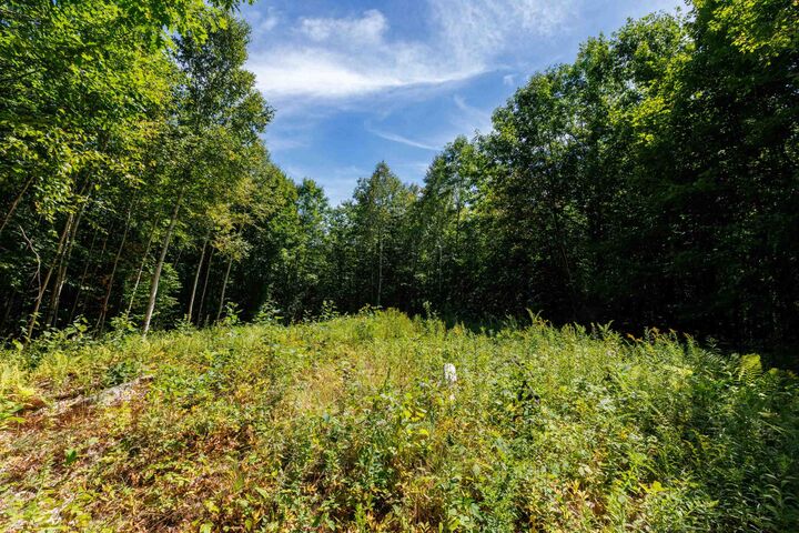 Property Photo: 14 Summit Drive NH 03580