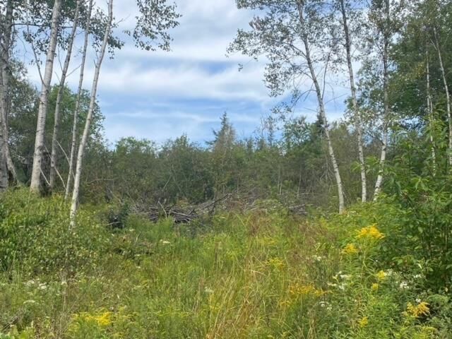 Photo de la propriété:  18 Adalynn Lane  NS B0N 1Y0 