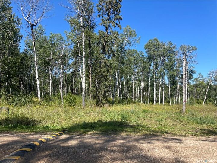 Photo de la propriété:  4 Phillips Crescent  SK S0J 0E0 