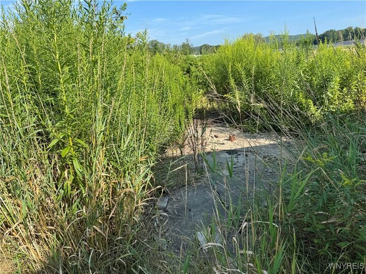 Property Photo:  1446 Penn Avenue  NY 14788 
