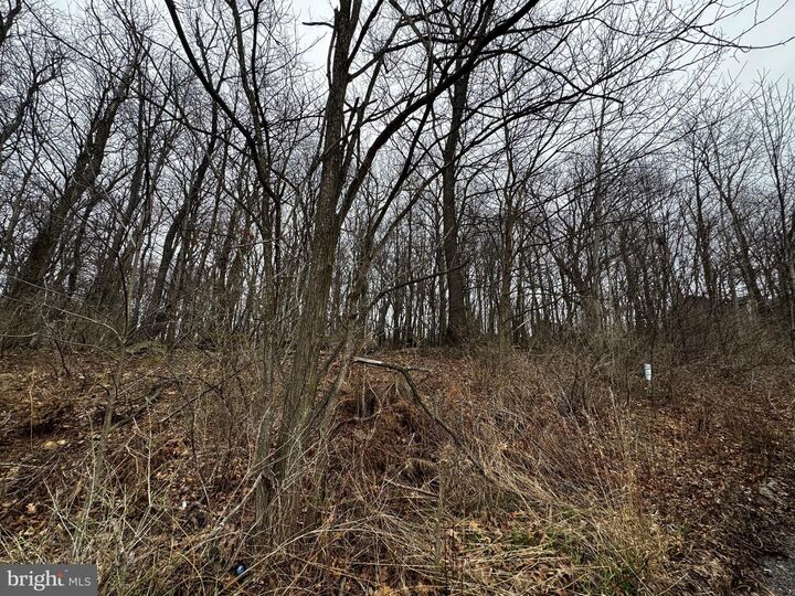 Property Photo:  119 Braddock Heights  MD 21532 