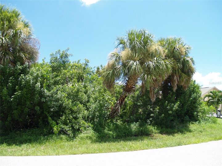 Property Photo: 18443 Briggs Circle FL 33948
