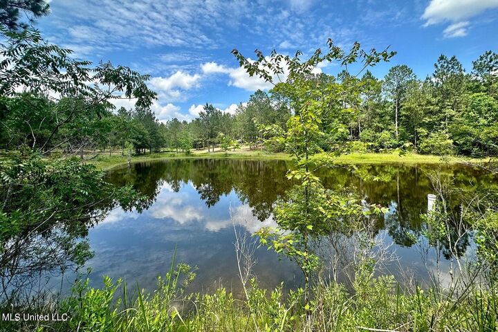 Property Photo: 23ac Hinton Road MS 39452