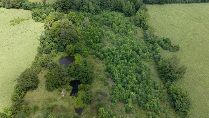 Property Photo: 547 Churchman Rd LA 70634