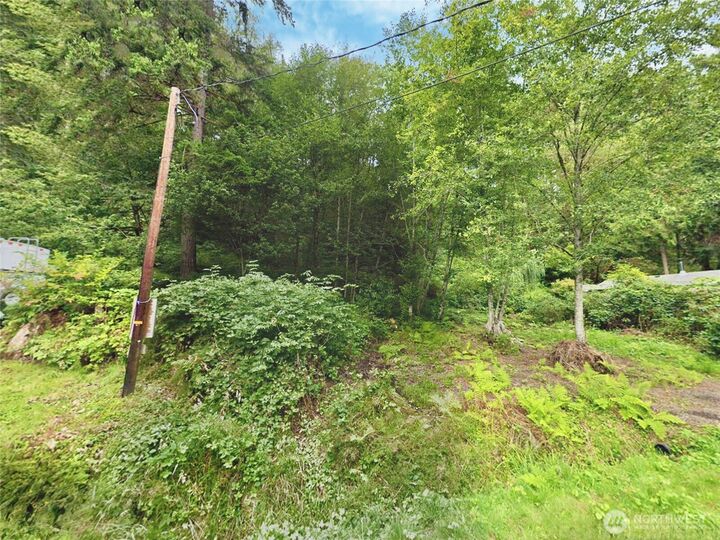 Property Photo: 141 NE Steelhead Drive WA 98528
