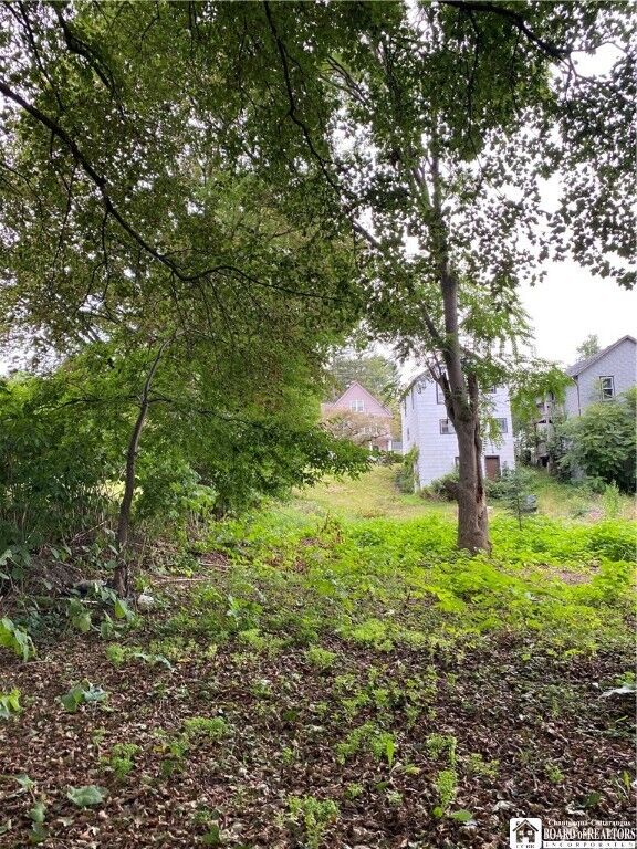 Property Photo: 396 Falconer Street NY 14701