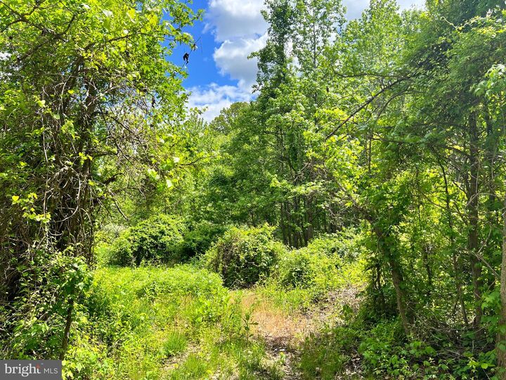 Property Photo: Old Colchester Rd VA 22079
