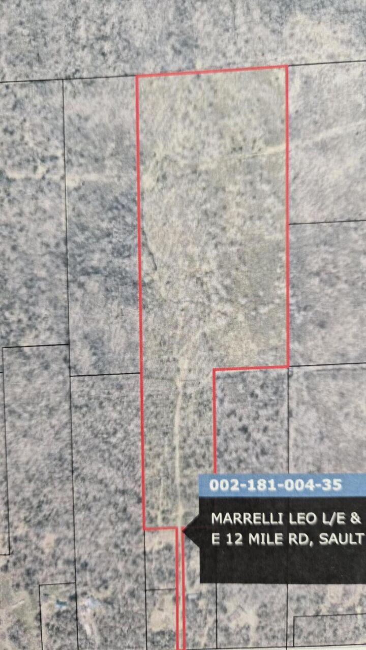 Property Photo:  0 E 12 Mile Rd  MI 49783 