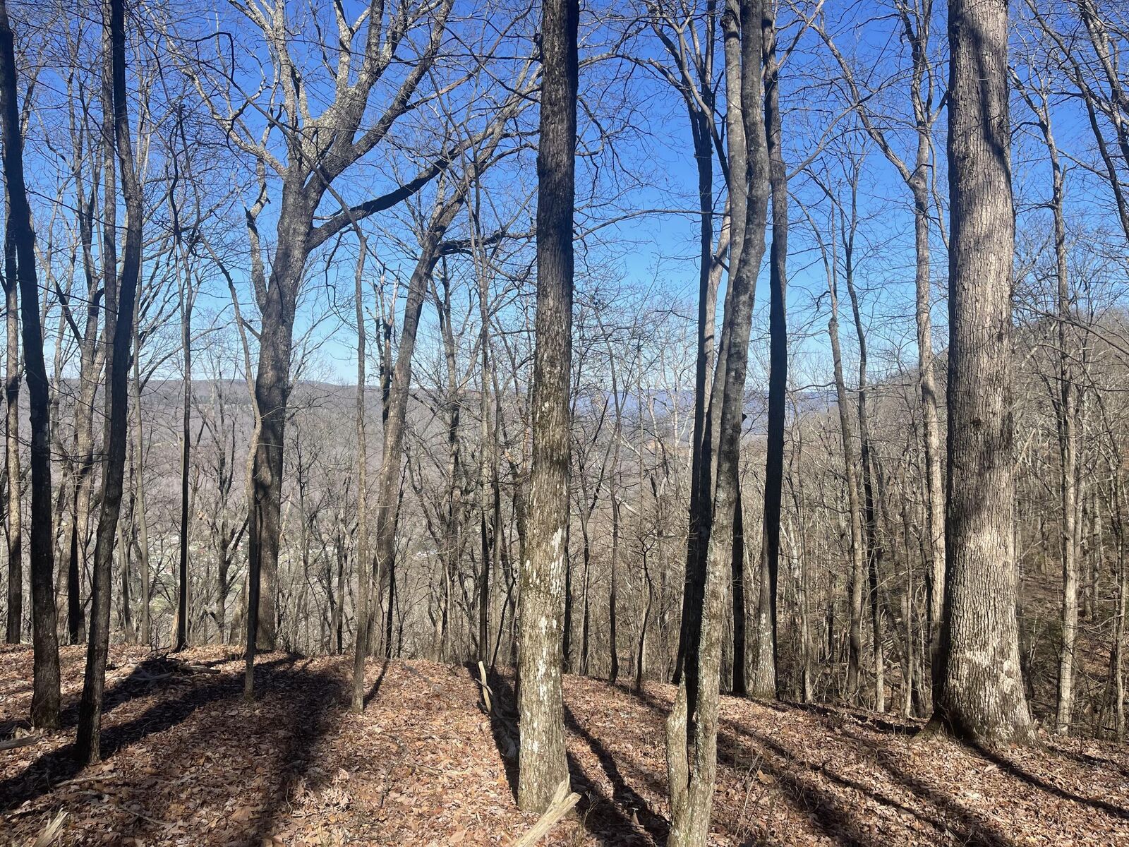 Property Photo:  80 High Point Lane  TN 37347 