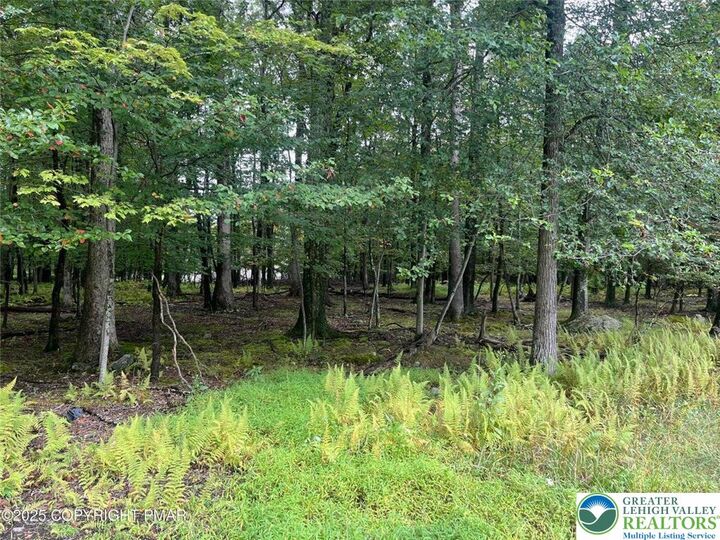 Property Photo: Lenape Drive Lot 31 &Amp 32 PA 18302