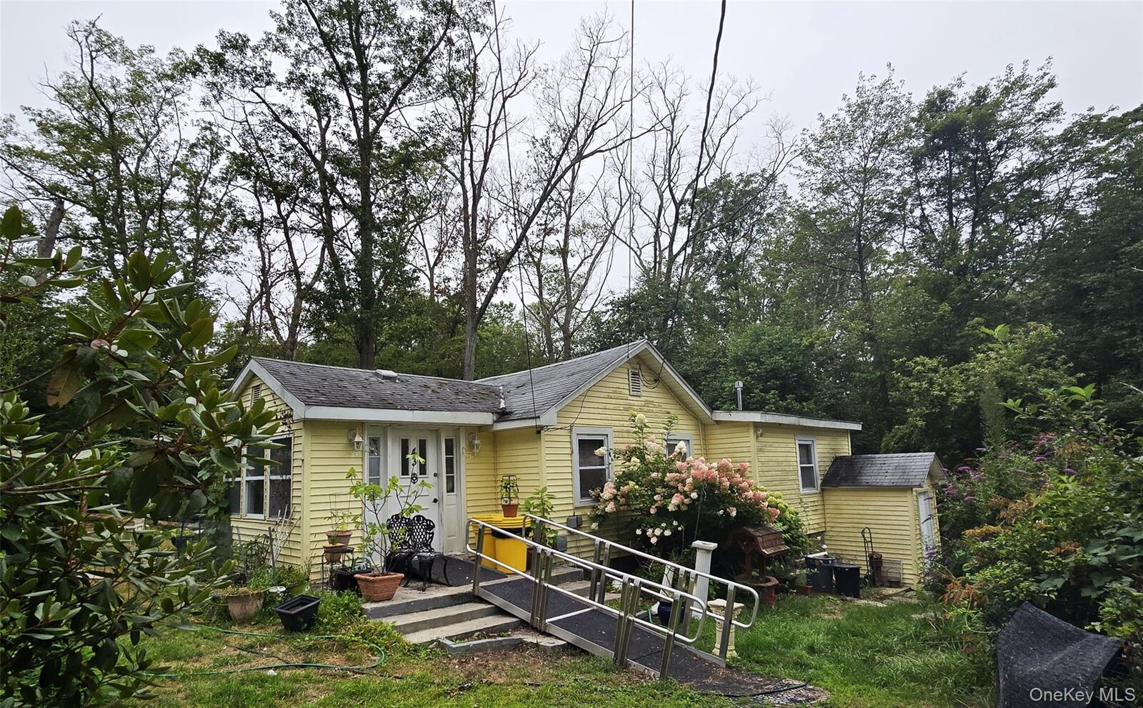 Property Photo:  43 Sycamore Trail  NY 12790 