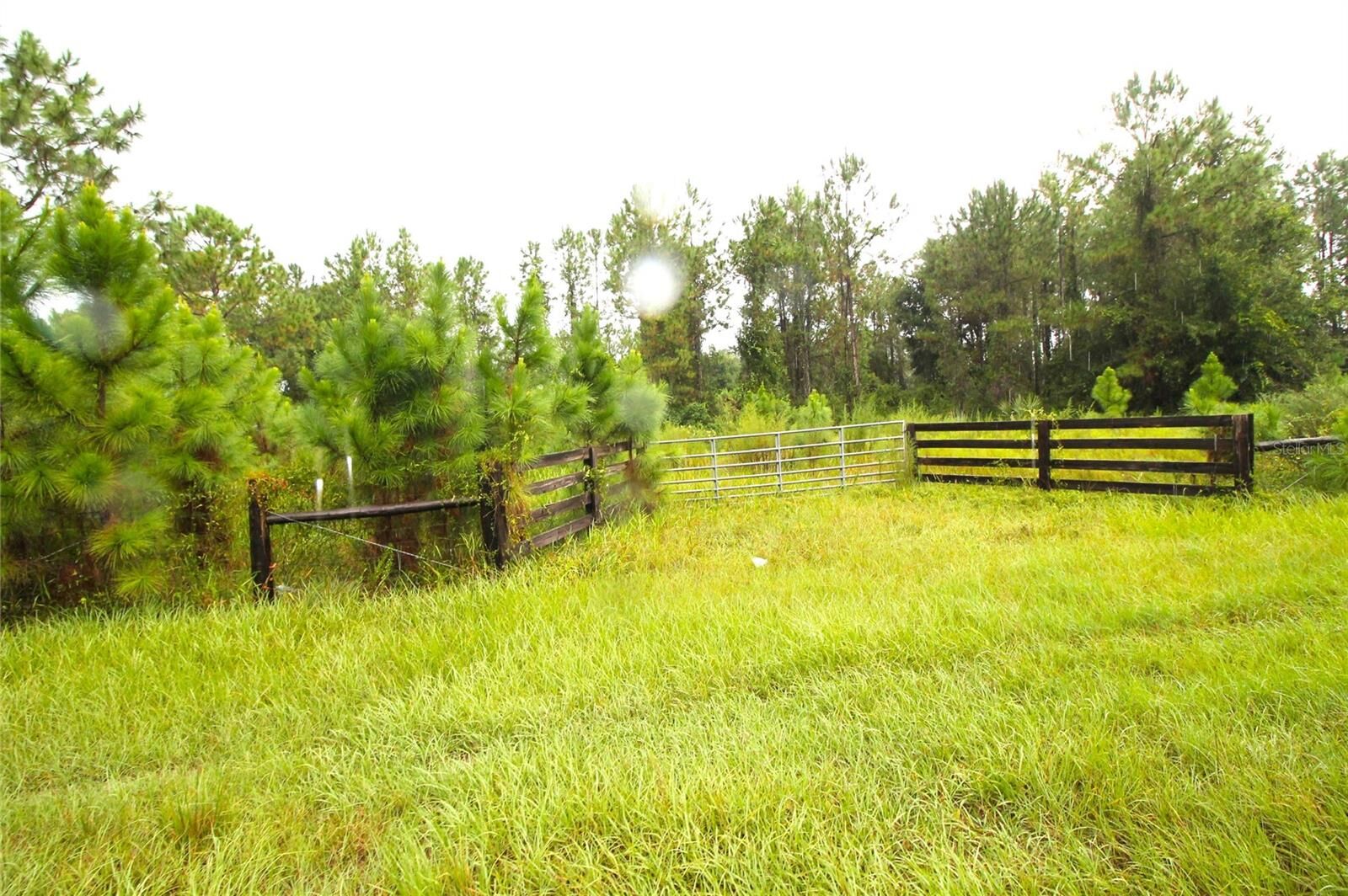 Property Photo: Youth Camp Road FL 34736