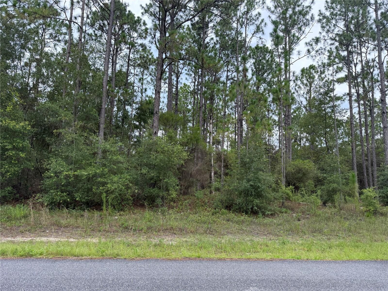 Property Photo:  1675 W Donner Drive  FL 34434 