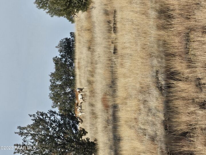 Property Photo: 00 N Picacho Butte Drive AZ 86320