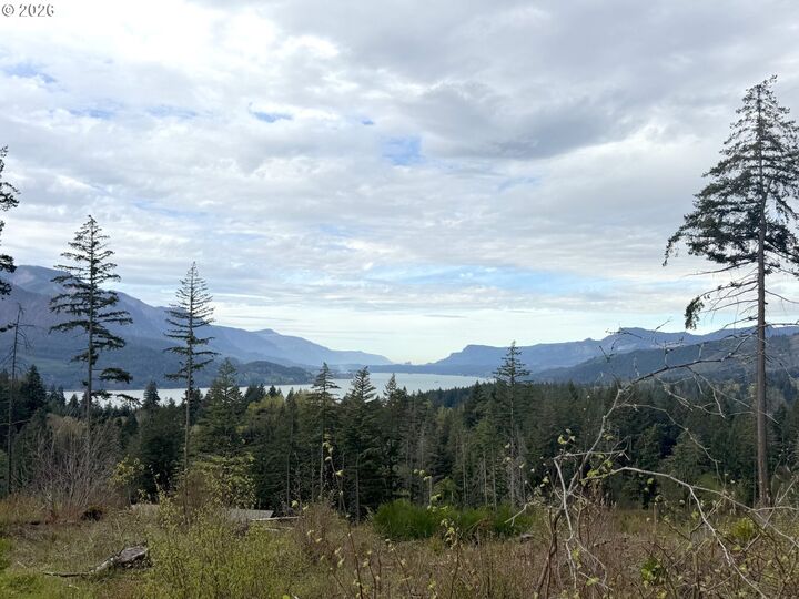 Property Photo:  Kelly-Henke Rd  WA 98648 