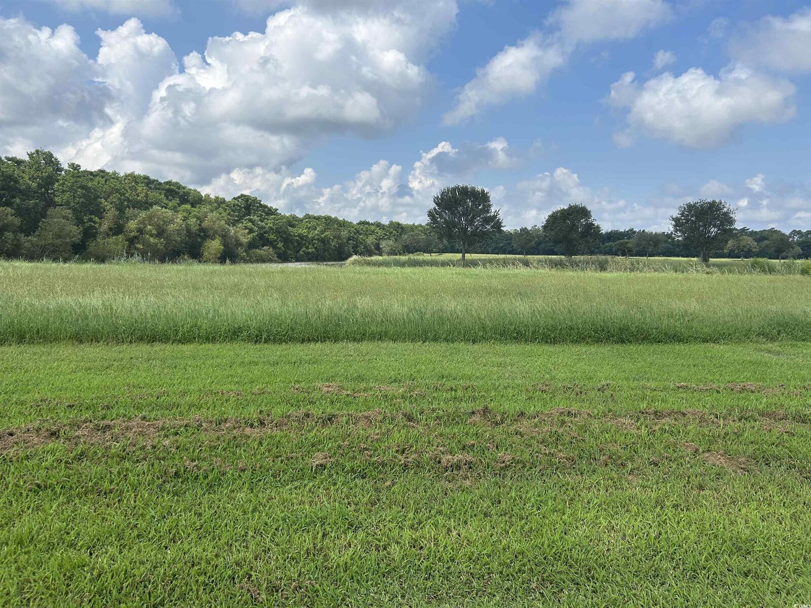 Property Photo: Tbd Ferry House Point SC 29440