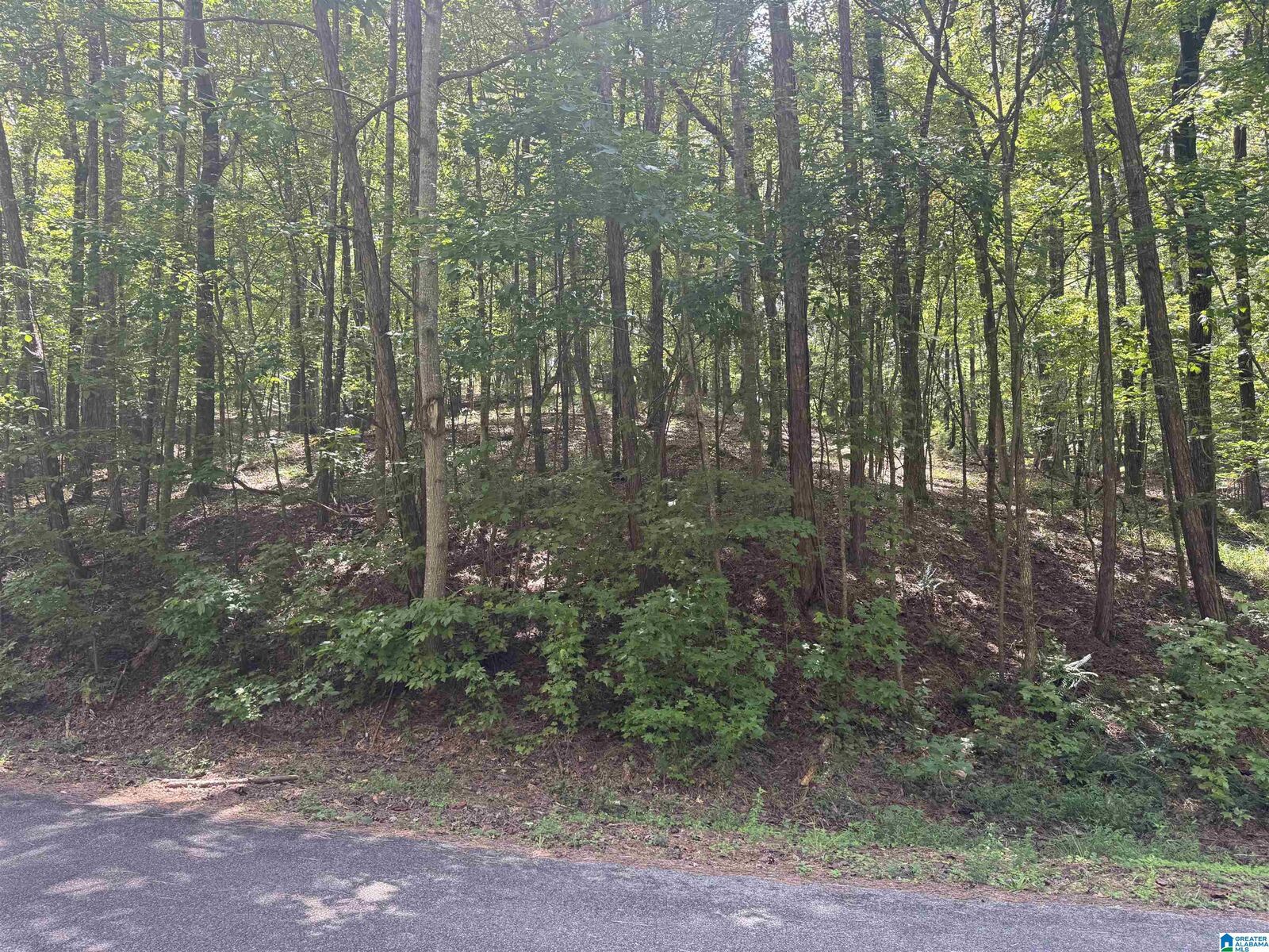 Property Photo: 85 Mohawk Court 22 AL 36271