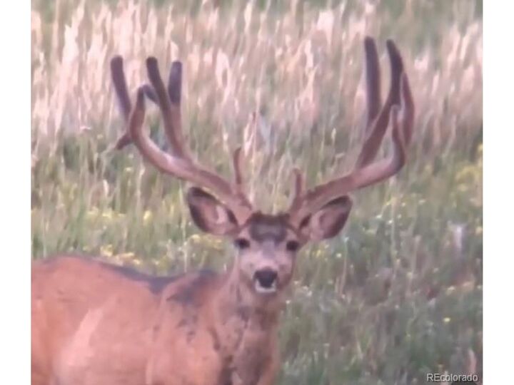 Property Photo: Tbd 96th Ave CO 80103