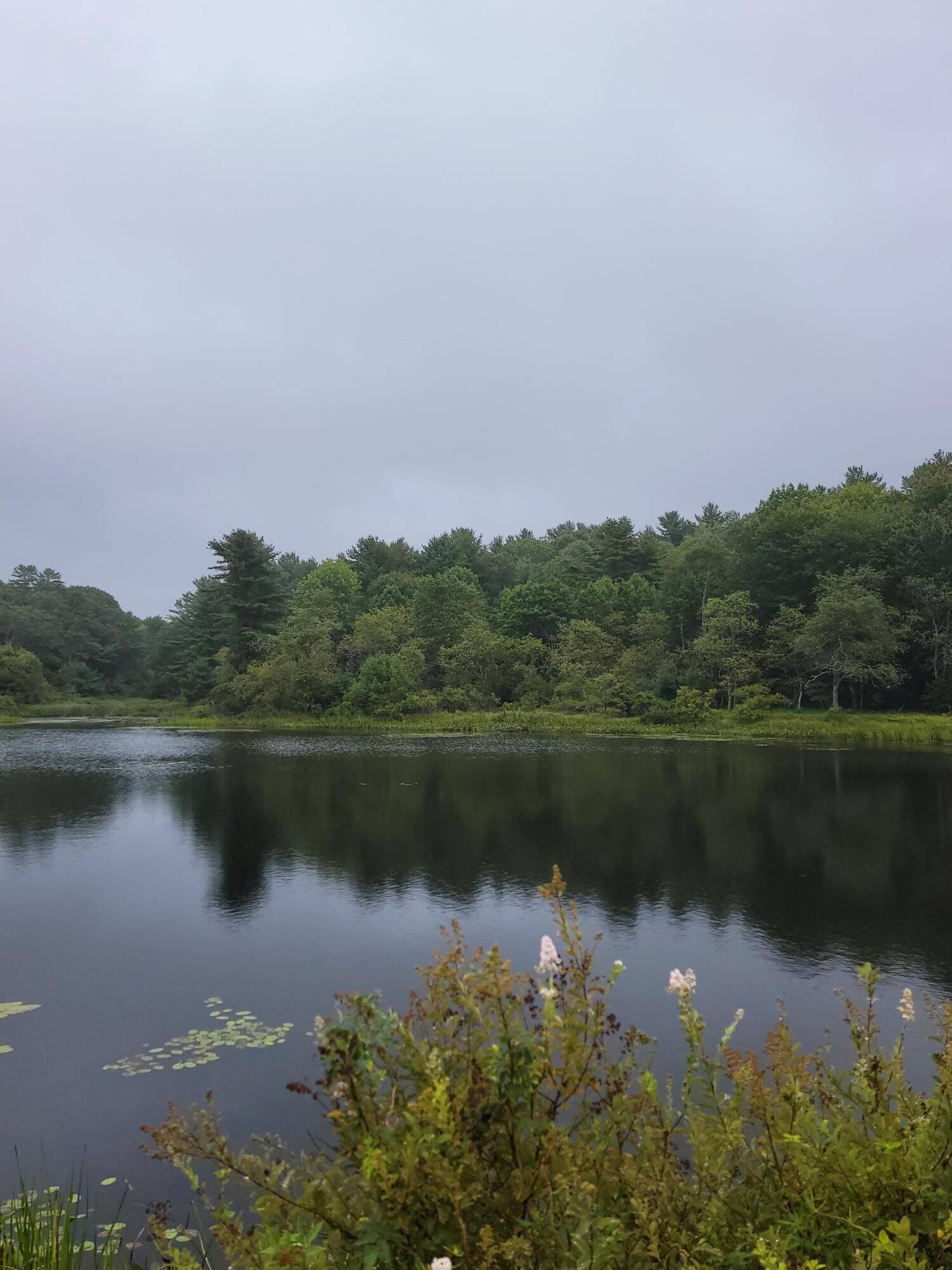 Property Photo: Lot #13-1 Shore Road ME 04605