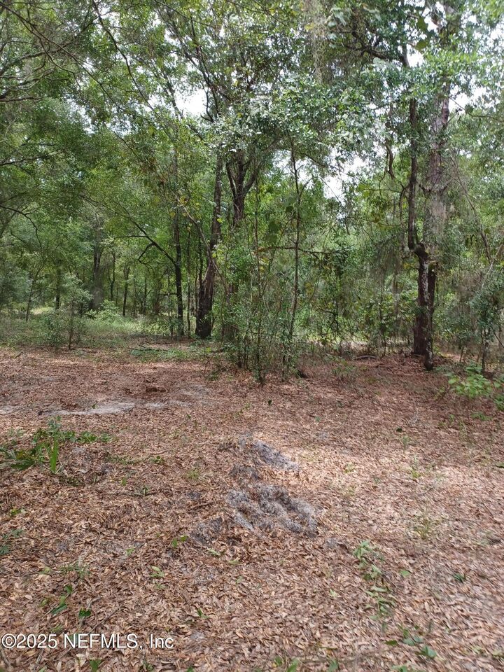 Property Photo: 0 Orange Tree Street FL 32181