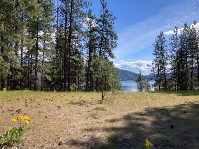 Property Photo:  