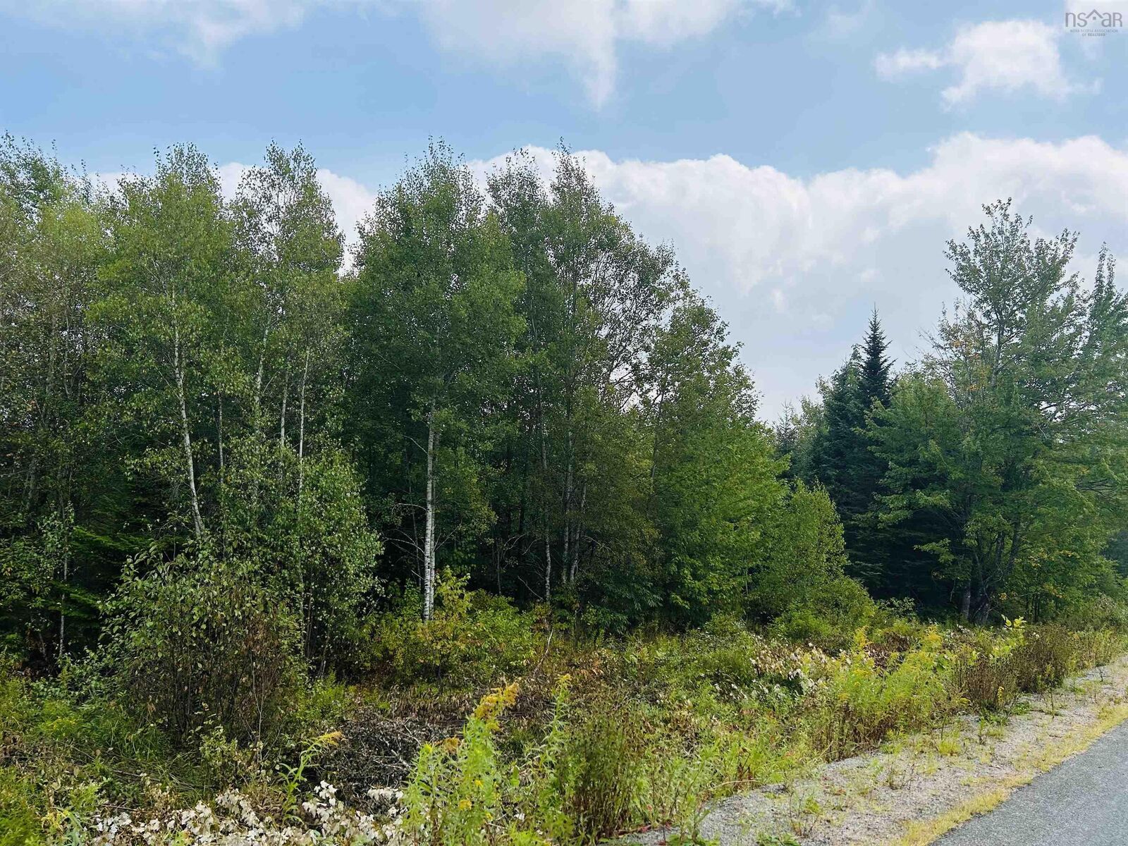 Property Photo:  Lot Alpena Road  NS B0S 1M0 