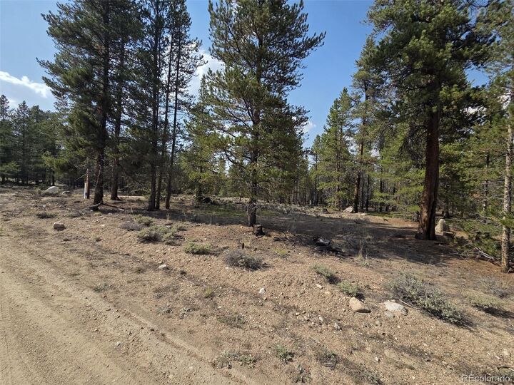 Property Photo: 455 Spruce Drive CO 80461