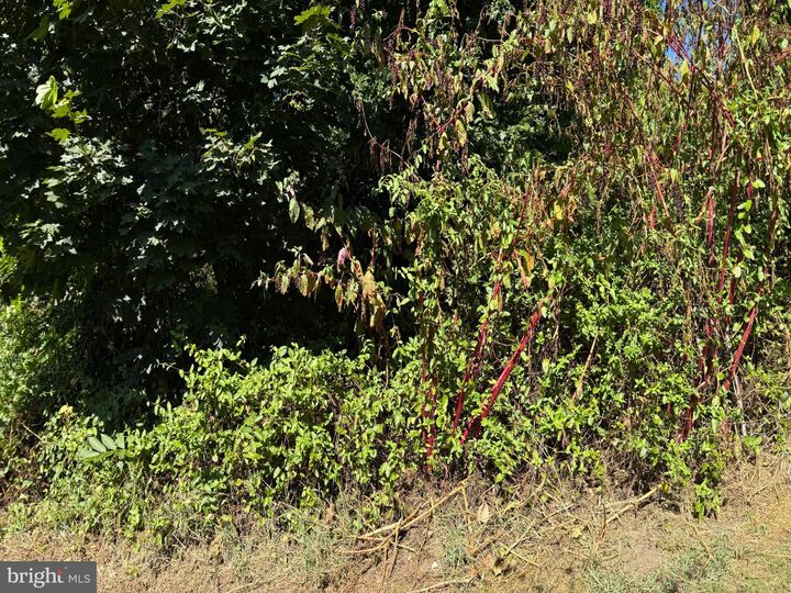 Property Photo:  214 2nd Avenue  VA 22134 