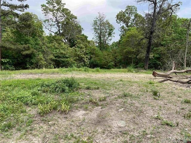 Property Photo: 1190 Robinwood Lane AR 72687