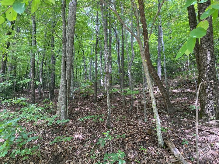 Property Photo: 000 Steven Street NC 28746
