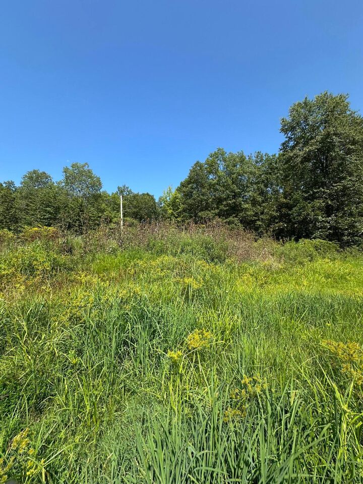 Property Photo: 13877 Portie Flamingo SE Road OH 43730