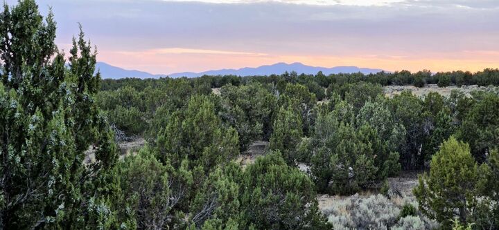 Property Photo: 816 Hamilton Stage Road NV 89801