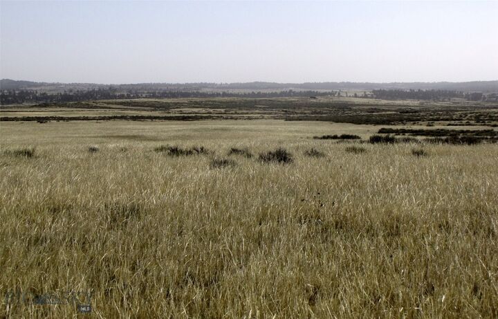 Property Photo: Tbd Lindstrom Road MT 59079