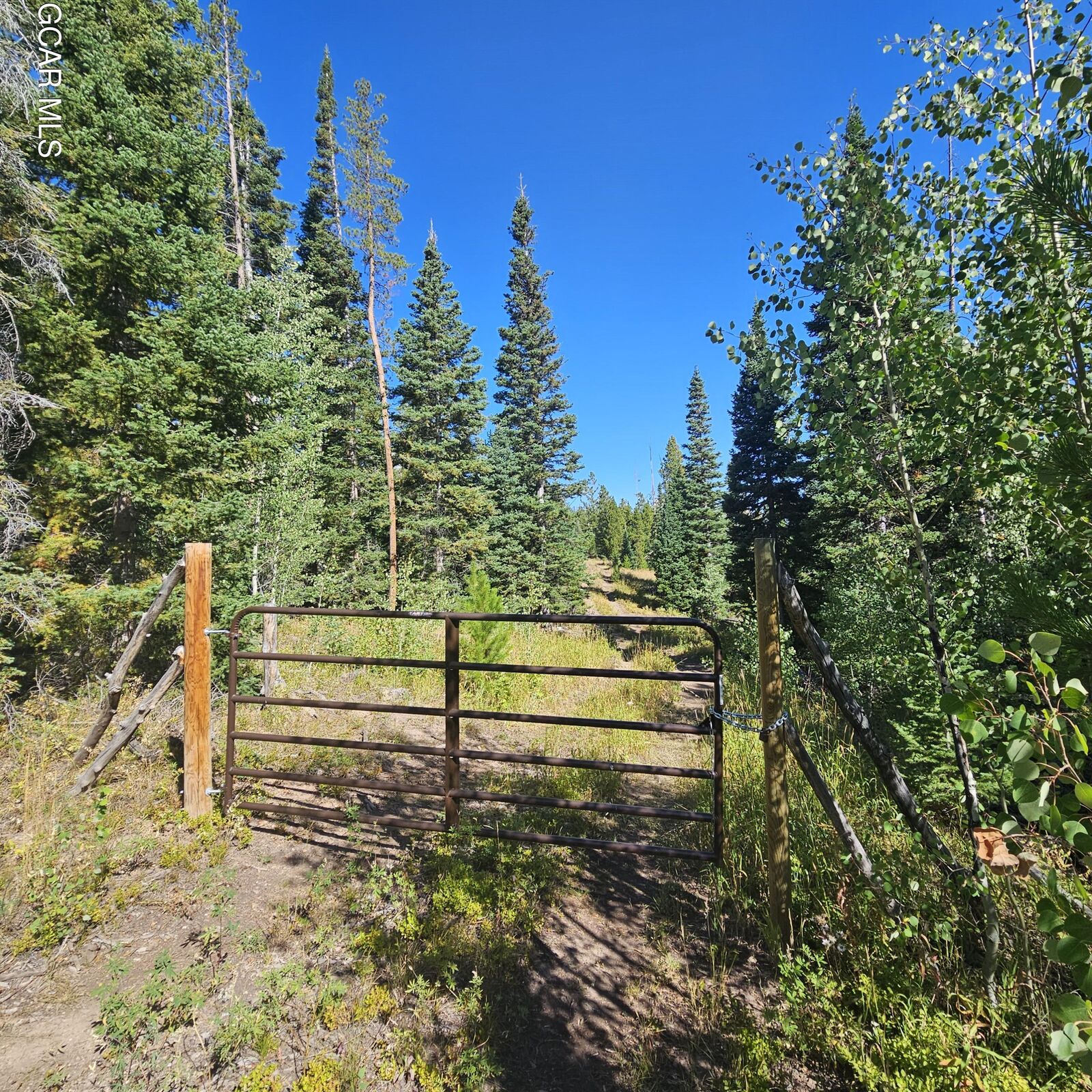 Property Photo:  4863 County Road 14S  CO 80459 