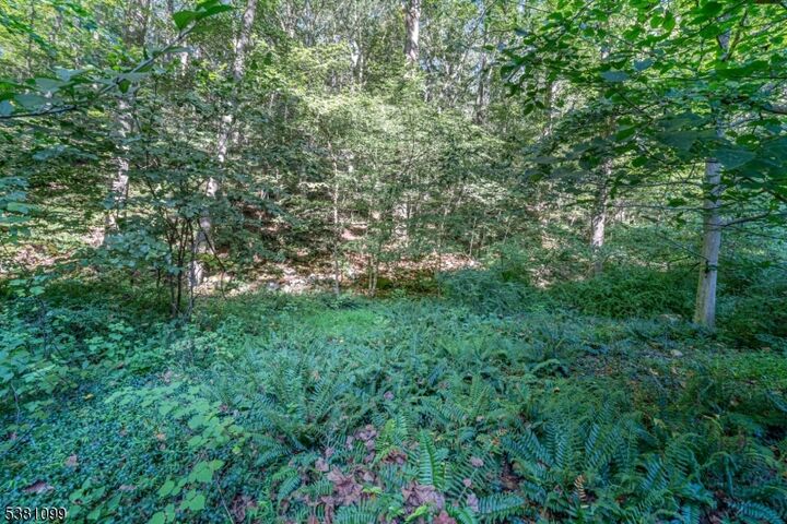 Property Photo: 0 Sweet Hollow Road NJ 08848