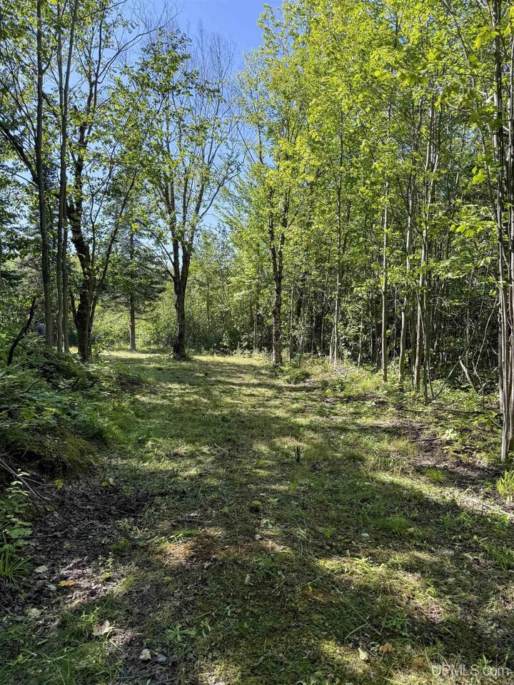 Property Photo:  Lot 2 Off Hwy M-64 Road  MI 49953 