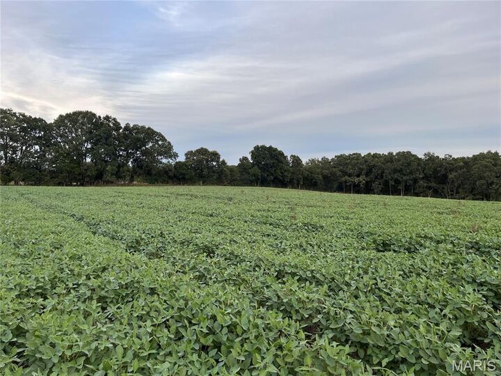 Property Photo:  Tbd Big Sky Rd  MO 63013 