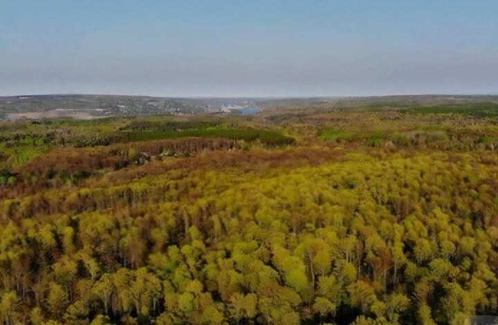 Property Photo: 14371 Lakeshore Drive MI 49417